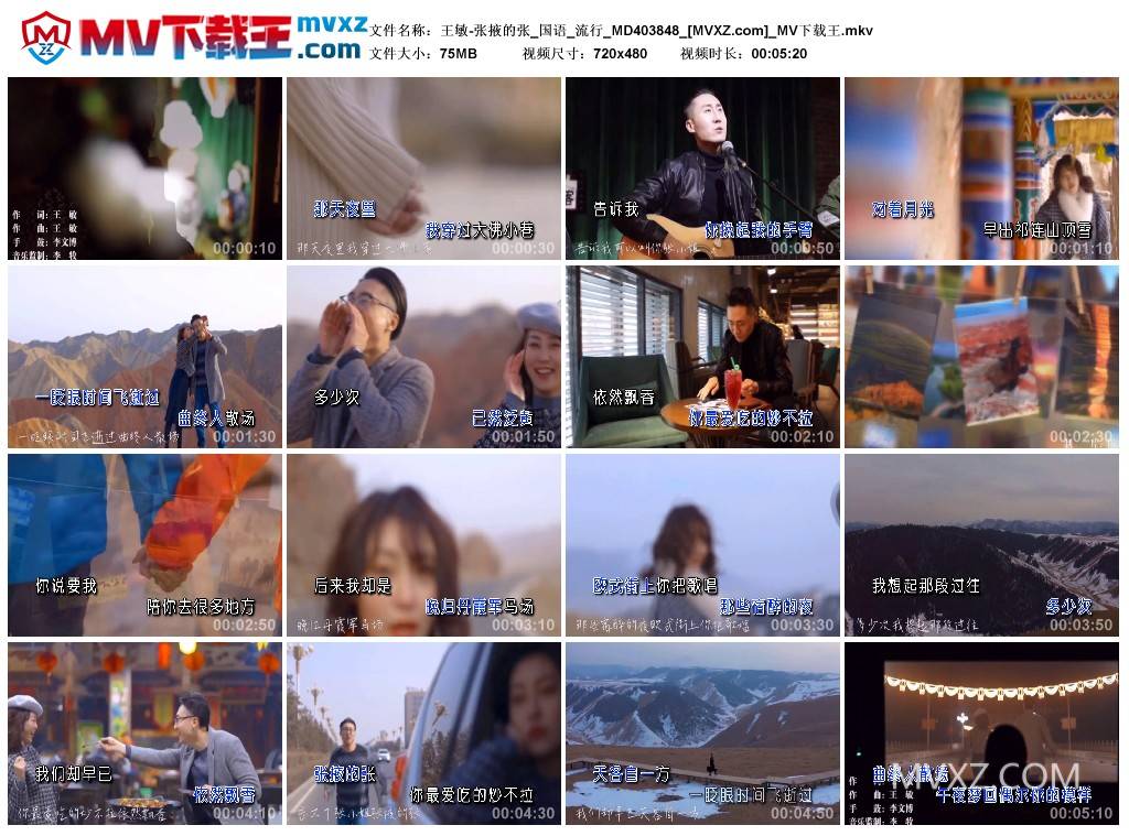 王敏-张掖的张_国语_流行_MD403848